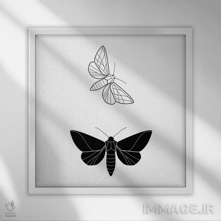 تابلو پروانهها (فرم مربع) اثر بلک پرینتس - نمای قابدار سفید