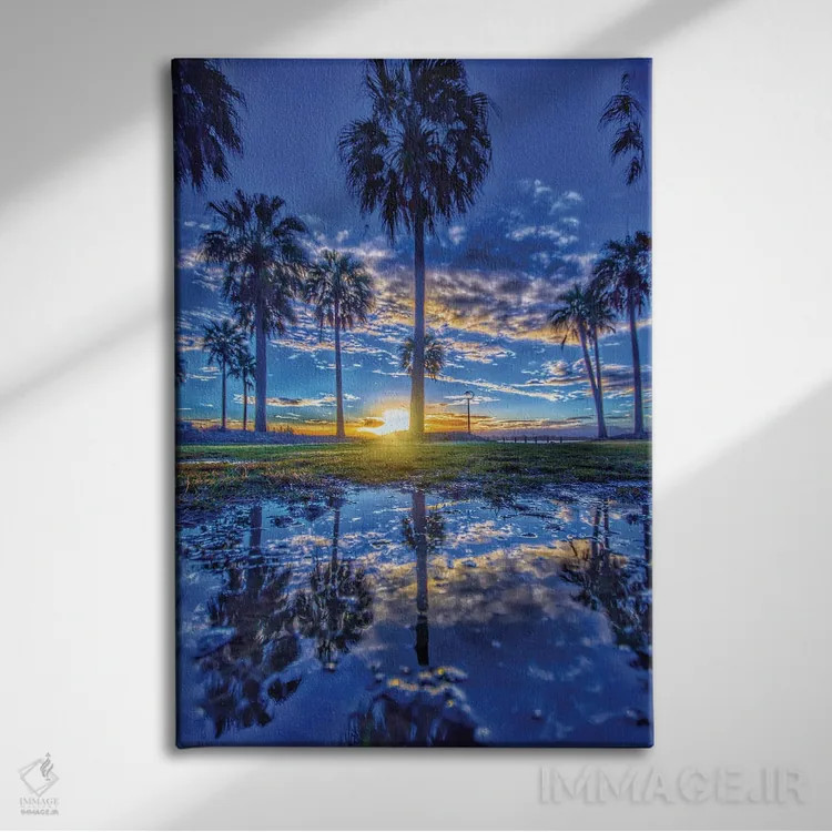 تابلو رویای کالیفرنیا II اثر بن مولدر - نمای روبهرو روی دیوار