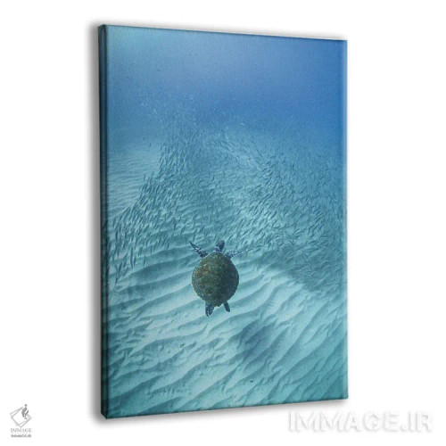 تابلو سفر لاکپشت اثر بن مولدر - نمای پرسپکتیو محصول