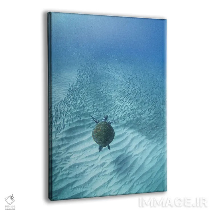 تابلو سفر لاکپشت اثر بن مولدر - نمای پرسپکتیو محصول