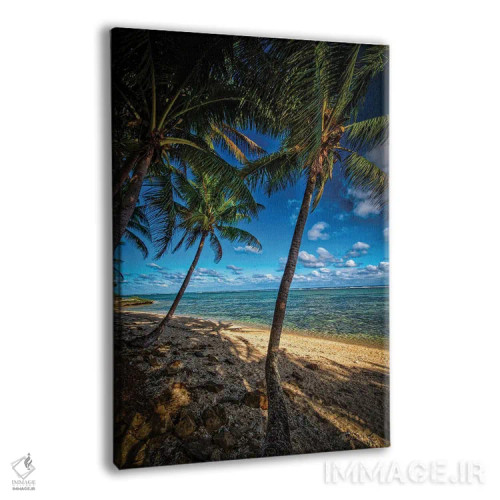 تابلو سواحل استوایی اثر بن مولدر - نمای پرسپکتیو محصول