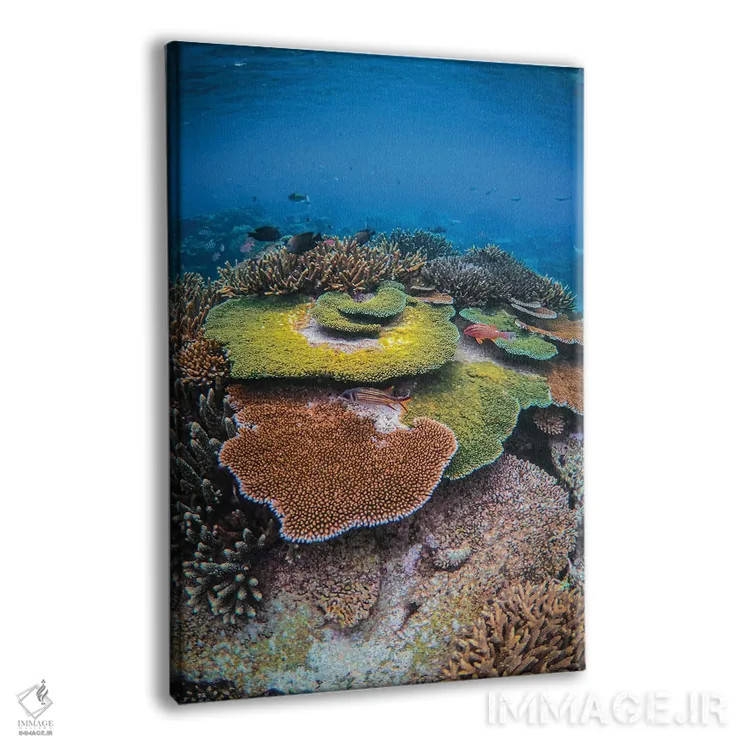 تابلو رنگهای صخرهٔ مرجانی اثر بن مولدر - نمای پرسپکتیو محصول