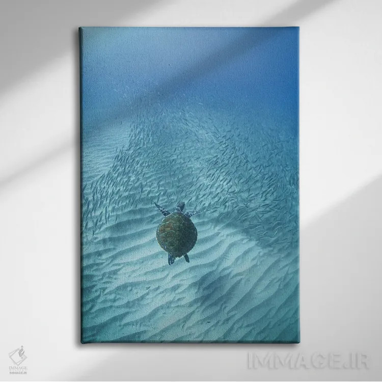 تابلو سفر لاکپشت اثر بن مولدر - نمای روبهرو روی دیوار