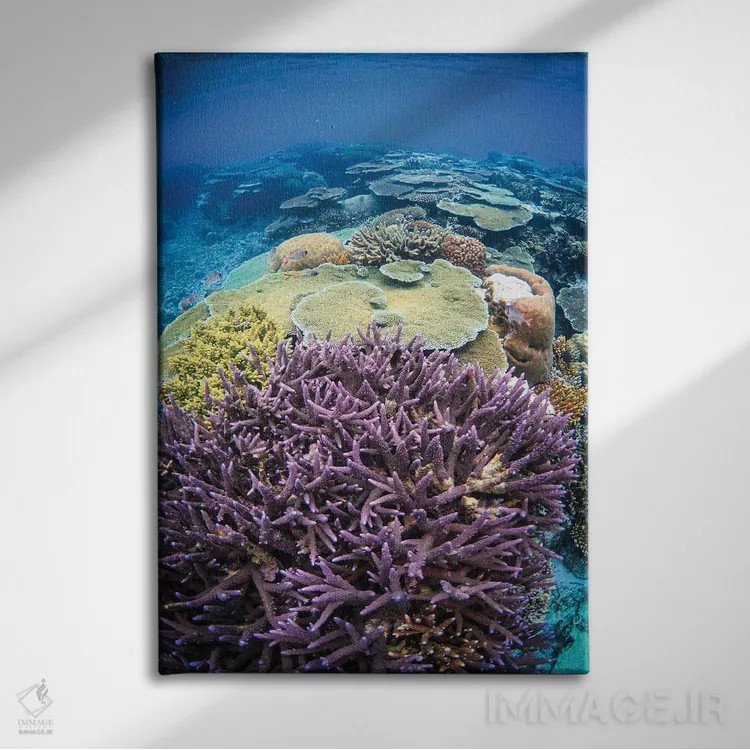 تابلو مرجان اثر بن مولدر - نمای روبهرو روی دیوار