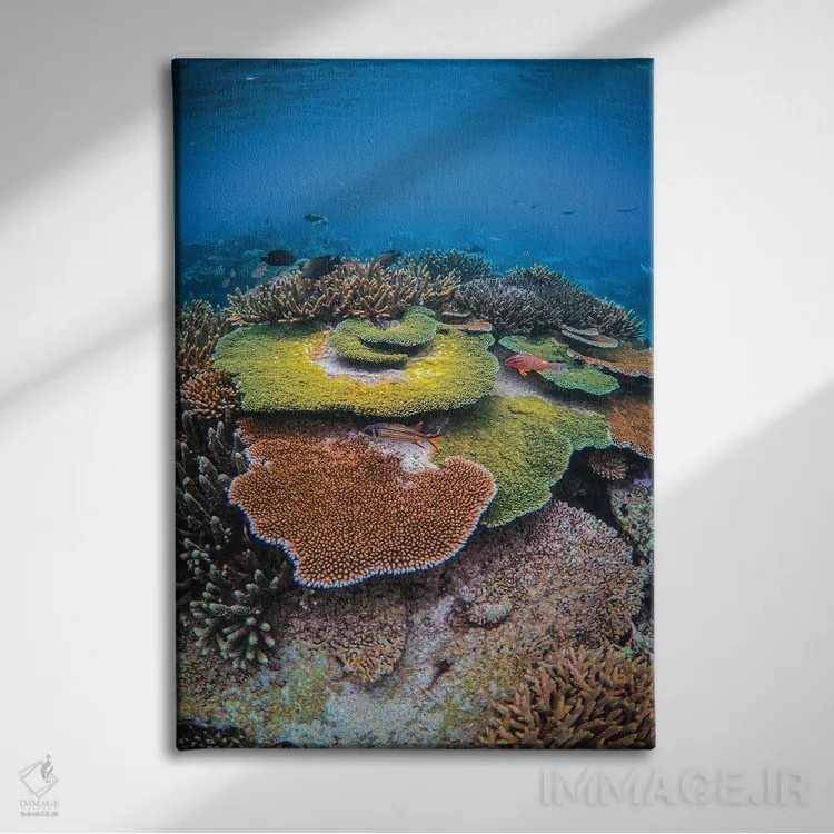 تابلو رنگهای صخرهٔ مرجانی اثر بن مولدر - نمای روبهرو روی دیوار