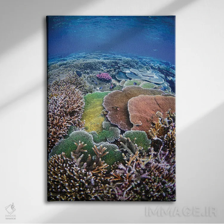تابلو زندگی زیر دریا اثر بن مولدر - نمای روبهرو روی دیوار