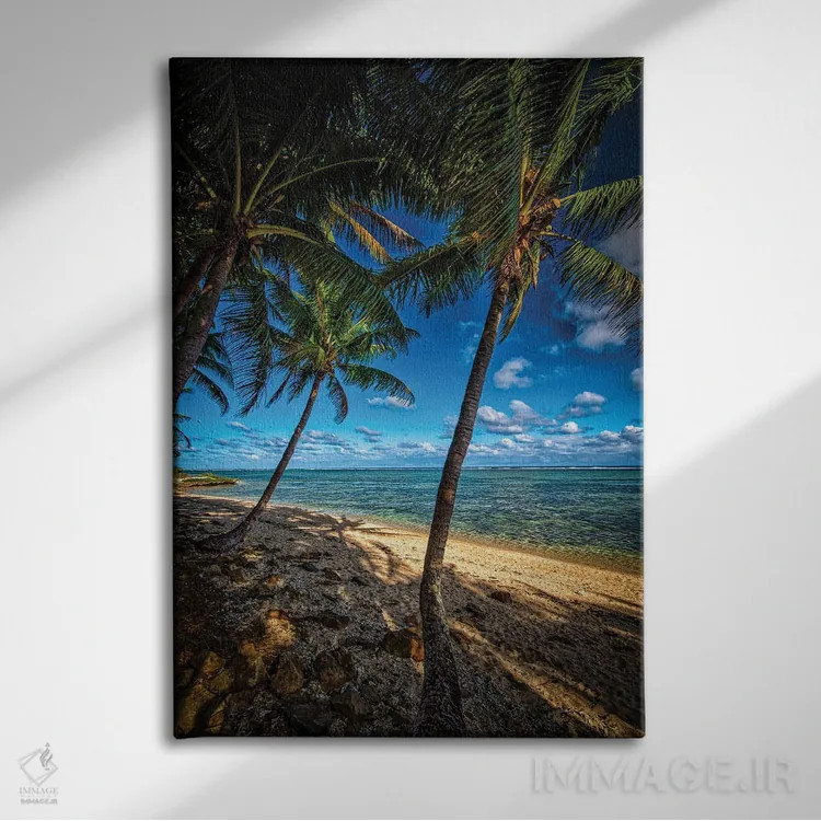 تابلو سواحل استوایی اثر بن مولدر - نمای روبهرو روی دیوار