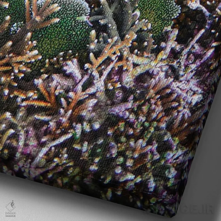 تابلو زندگی زیر دریا اثر بن مولدر - نمای نزدیک بافت بوم