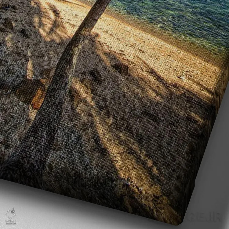 تابلو سواحل استوایی اثر بن مولدر - نمای نزدیک بافت بوم