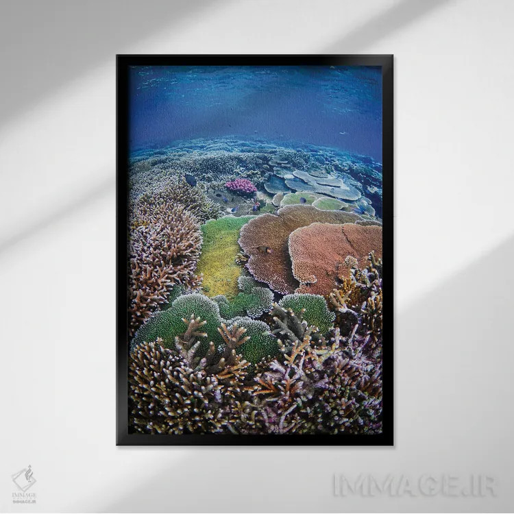 تابلو زندگی زیر دریا اثر بن مولدر - نمای قابدار مشکی