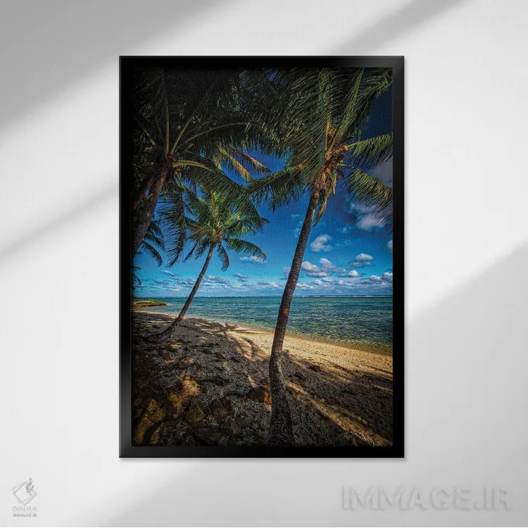 تابلو سواحل استوایی اثر بن مولدر - نمای قابدار مشکی