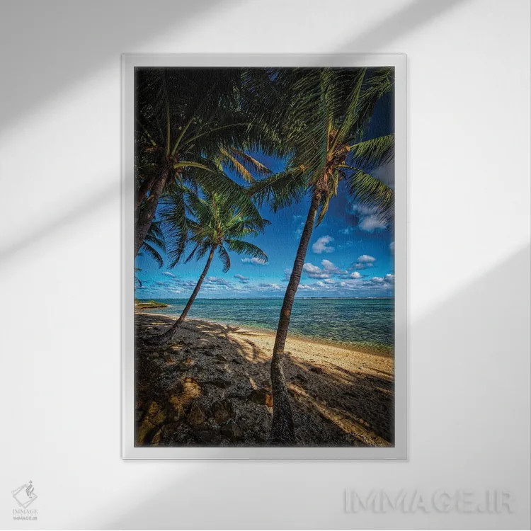 تابلو سواحل استوایی اثر بن مولدر - نمای قابدار سفید