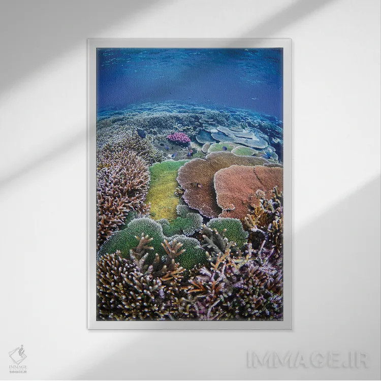 تابلو زندگی زیر دریا اثر بن مولدر - نمای قابدار سفید