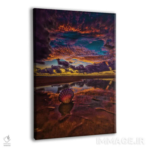تابلو صدف دریایی اثر بن مولدر - نمای پرسپکتیو محصول