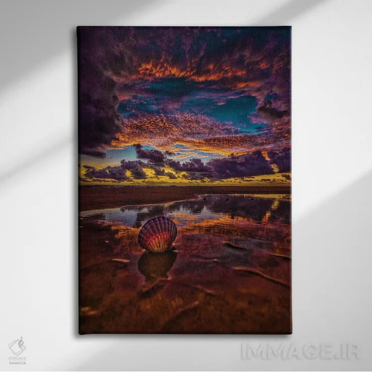 تابلو صدف دریایی اثر بن مولدر - نمای روبهرو روی دیوار