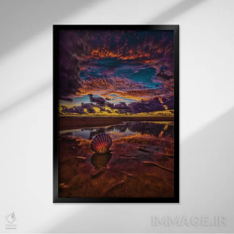 تابلو صدف دریایی اثر بن مولدر - نمای قابدار مشکی