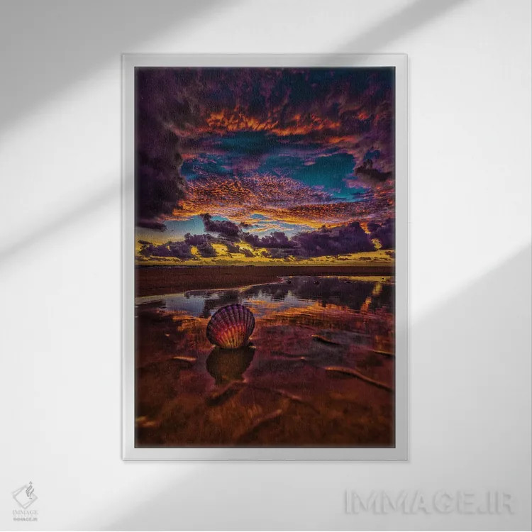 تابلو صدف دریایی اثر بن مولدر - نمای قابدار سفید