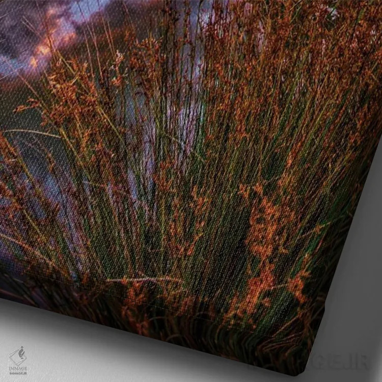 تابلو میان نیزارها اثر بن مولدر - نمای نزدیک بافت بوم