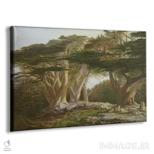 تابلو 1861,سروهای لبنان، ۱۸۶۱ اثر ادوارد لیر (شاعر و تصویرگر انگلیسی) - نمای پرسپکتیو محصول