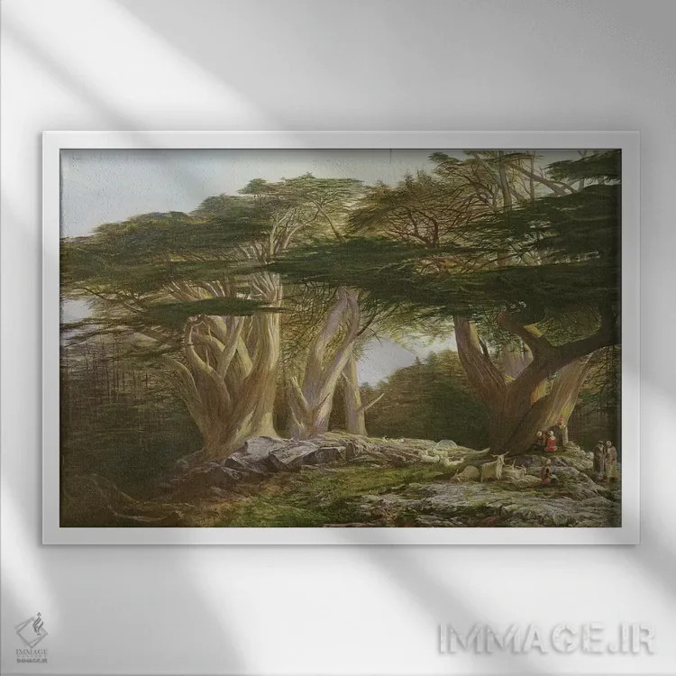 تابلو 1861,سروهای لبنان، ۱۸۶۱ اثر ادوارد لیر (شاعر و تصویرگر انگلیسی) - نمای قابدار سفید