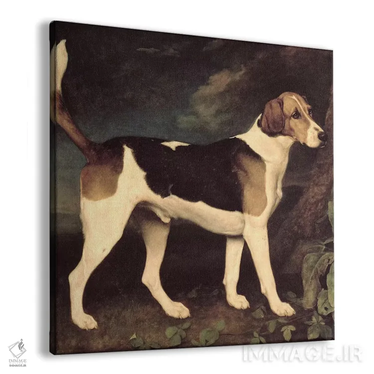 تابلو a Brocklesby Foxhound, 1792,رینگوود، سگ شکاری فاکسهاند بروکلسبی، ۱۷۹۲ اثر جورج استابز (نقاش حیوانات انگلیسی) - نمای پرسپکتیو محصول
