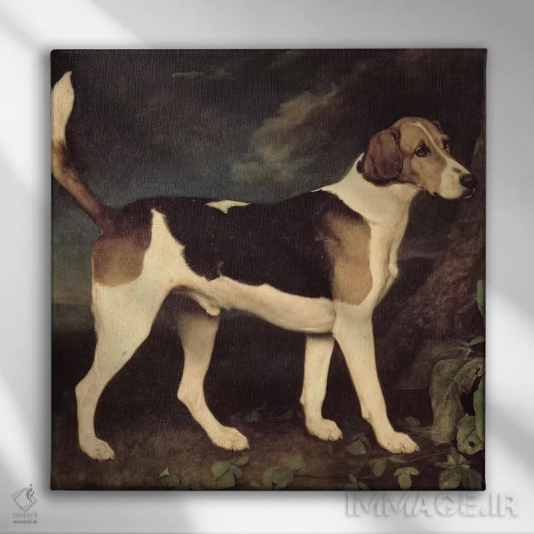 تابلو a Brocklesby Foxhound, 1792,رینگوود، سگ شکاری فاکسهاند بروکلسبی، ۱۷۹۲ اثر جورج استابز (نقاش حیوانات انگلیسی) - نمای روبهرو روی دیوار