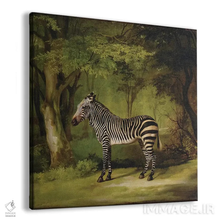 تابلو 1763,یک گورخر، ۱۷۶۳ اثر جورج استابز (نقاش حیوانات انگلیسی) - نمای پرسپکتیو محصول