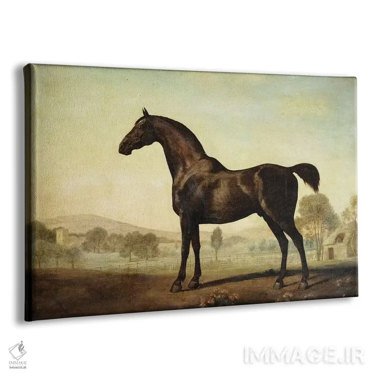 تابلو a Bay Racehorse, in a Paddock, 1779,"سویتویلیام"، اسب مسابقهای قهوهای در مرتع، ۱۷۷۹ اثر جورج استابز (نقاش حیوانات انگلیسی) - نمای پرسپکتیو محصول