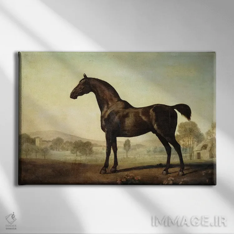تابلو a Bay Racehorse, in a Paddock, 1779,"سویتویلیام"، اسب مسابقهای قهوهای در مرتع، ۱۷۷۹ اثر جورج استابز (نقاش حیوانات انگلیسی) - نمای روبهرو روی دیوار