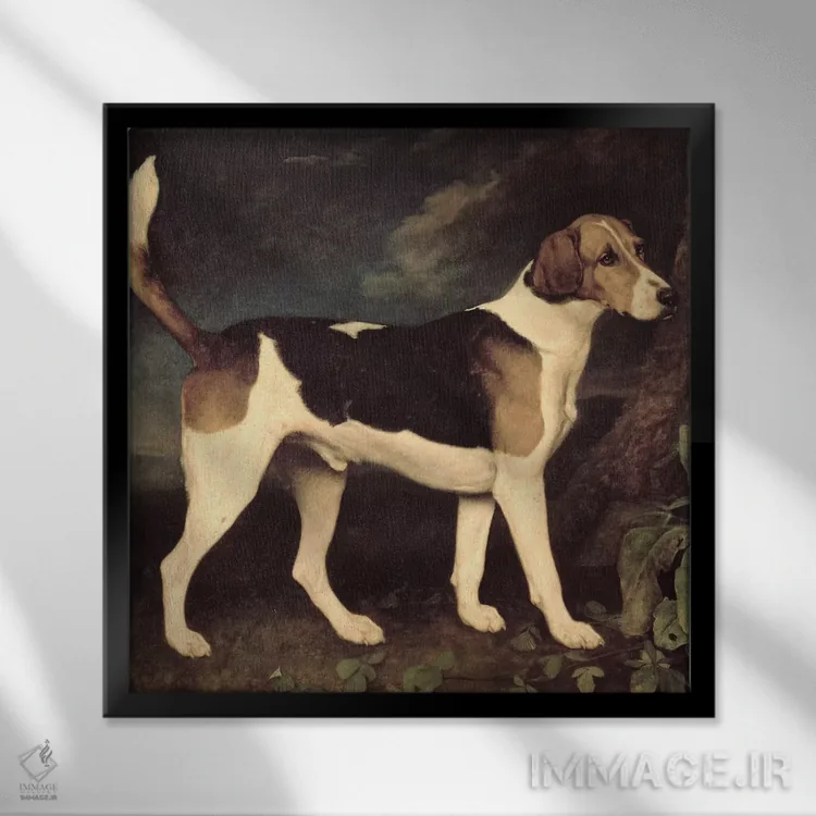 تابلو a Brocklesby Foxhound, 1792,رینگوود، سگ شکاری فاکسهاند بروکلسبی، ۱۷۹۲ اثر جورج استابز (نقاش حیوانات انگلیسی) - نمای قابدار مشکی