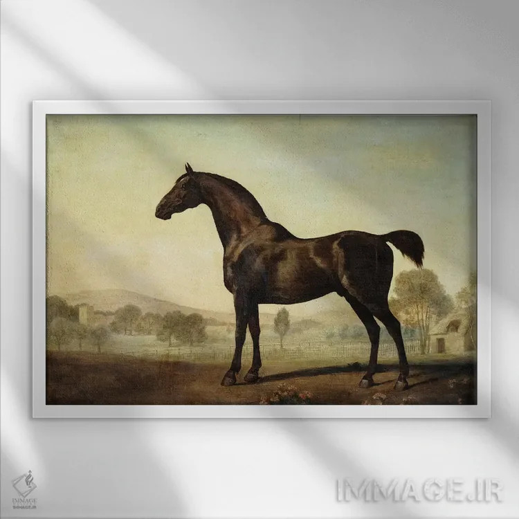 تابلو a Bay Racehorse, in a Paddock, 1779,"سویتویلیام"، اسب مسابقهای قهوهای در مرتع، ۱۷۷۹ اثر جورج استابز (نقاش حیوانات انگلیسی) - نمای قابدار سفید