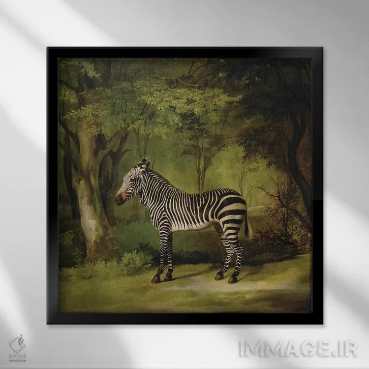 تابلو 1763,یک گورخر، ۱۷۶۳ اثر جورج استابز (نقاش حیوانات انگلیسی) - نمای قابدار مشکی