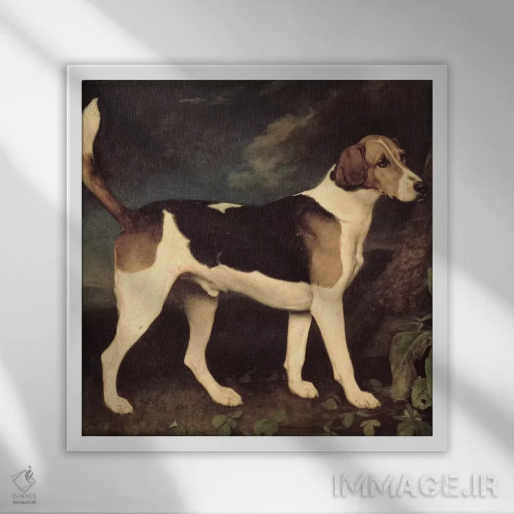 تابلو a Brocklesby Foxhound, 1792,رینگوود، سگ شکاری فاکسهاند بروکلسبی، ۱۷۹۲ اثر جورج استابز (نقاش حیوانات انگلیسی) - نمای قابدار سفید