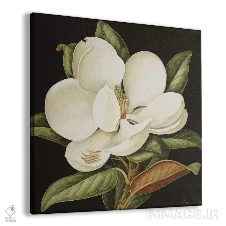 تابلو 2003,ماگنولیا گرندفلورا، ۲۰۰۳ (گونهٔ گیاهی) اثر جنی بارون - نمای پرسپکتیو محصول