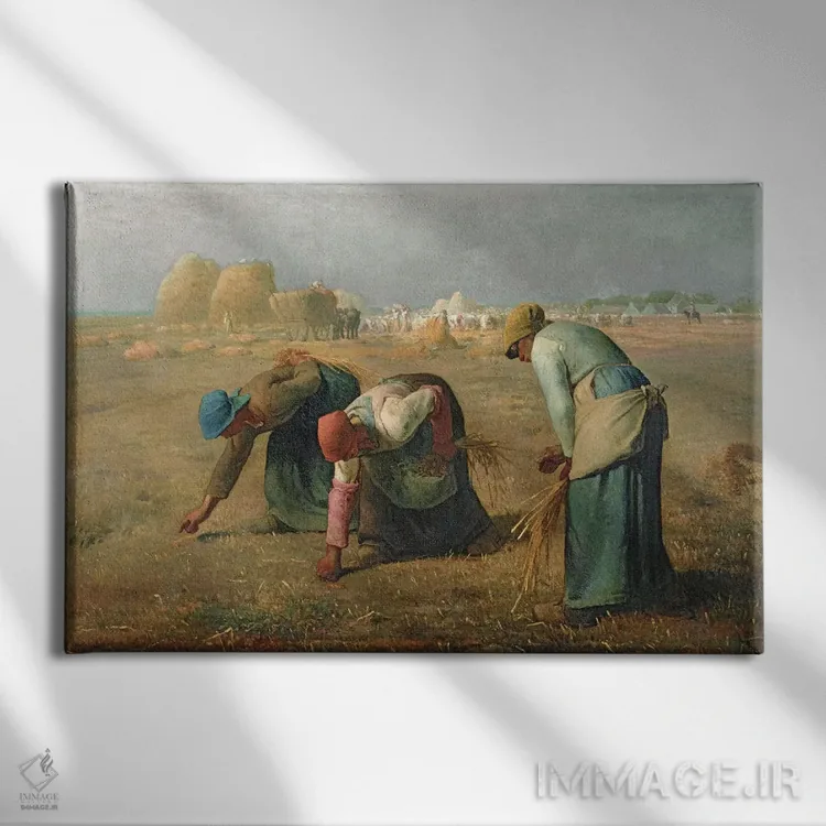 تابلو 1857,خوشهچینها، ۱۸۵۷ اثر ژان فرانسوا میه - نمای روبهرو روی دیوار