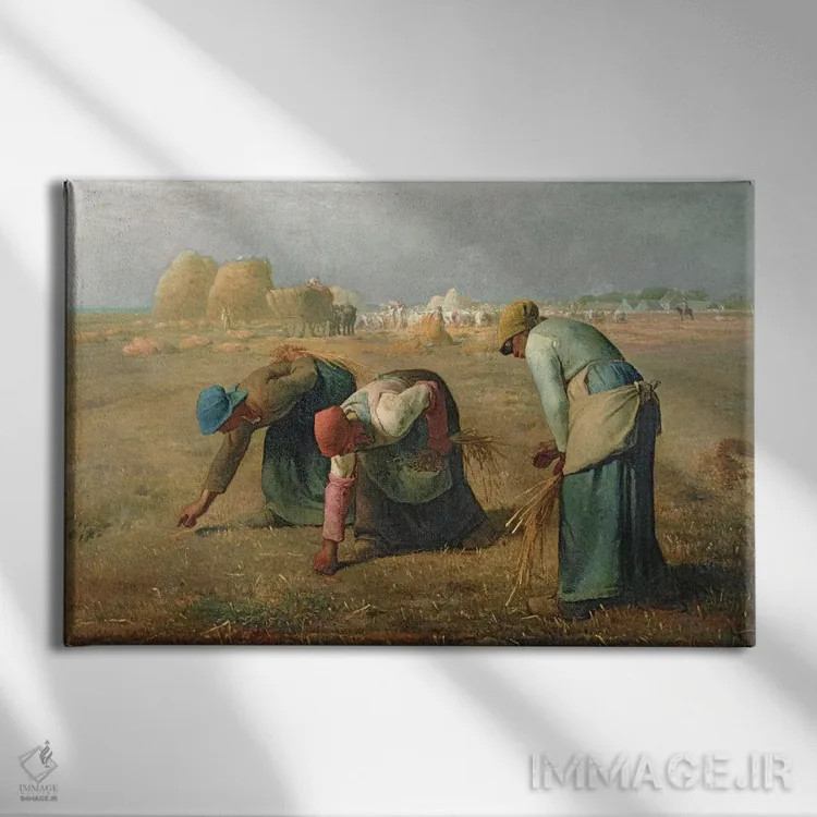 تابلو 1857,خوشهچینها، ۱۸۵۷ اثر ژان فرانسوا میه - نمای روبهرو روی دیوار