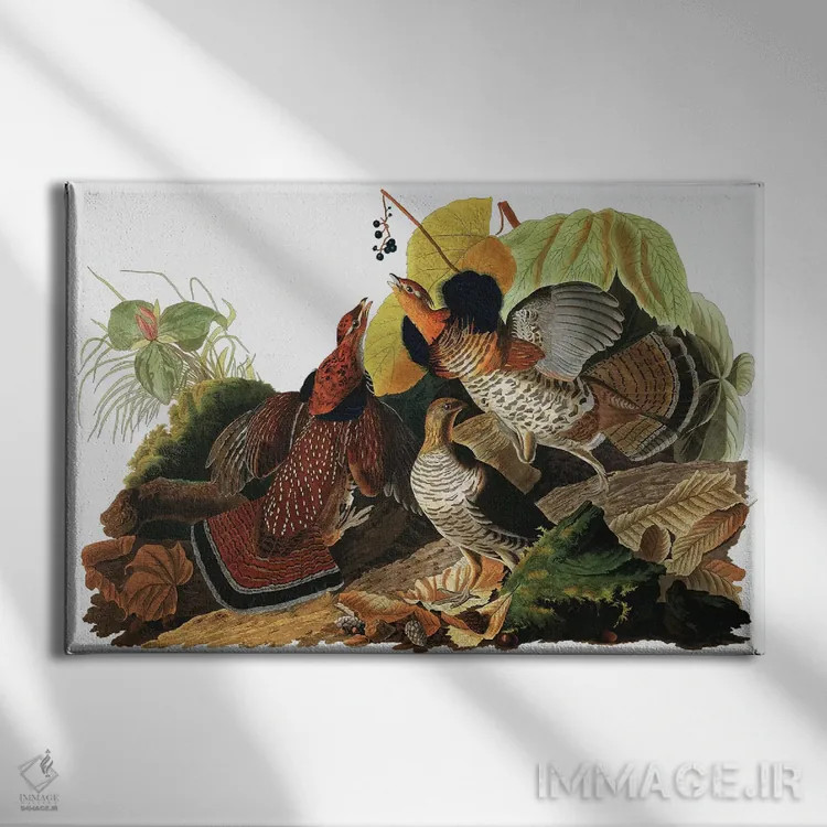 تابلو Tetrao Umbellus, from "The Birds of America" by John J. Audubon, pub. 1827-38,قرقاول یقهدار از "پرندگان آمریکا" جان جیمز اودوبون، منتشرشده ۱۸۲۷-۱۸۳۸ اثر جان جیمز آدوبون (نقاش و پرندهشناس) - نمای روبهرو روی دیوار