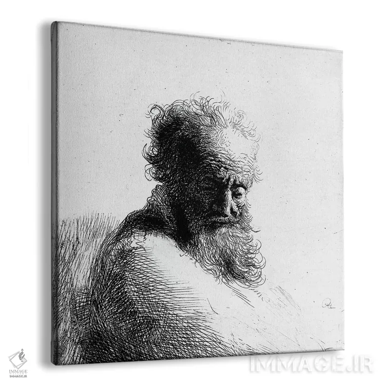 تابلو سر پیرمرد، ۱۶۳۱ اثر رمبرانت فان رَین (نقاش بزرگ هلندی) - نمای پرسپکتیو محصول