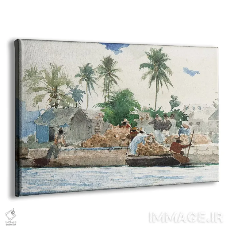 تابلو ماهیگیر اسفنج، باهاما اثر وینسلو هومر - نمای پرسپکتیو محصول