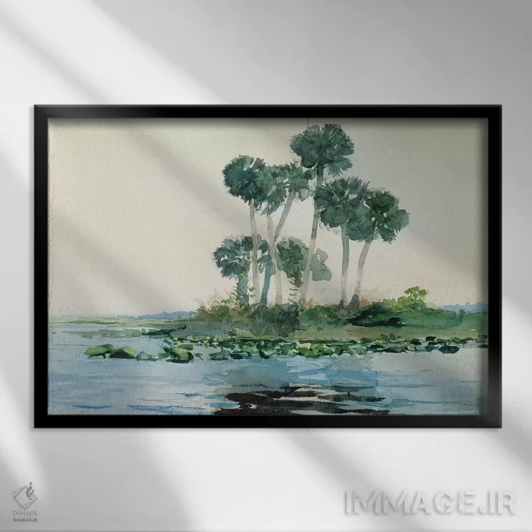 تابلو رود سنت جان، فلوریدا، ۱۸۹۰ اثر وینسلو هومر - نمای قابدار مشکی