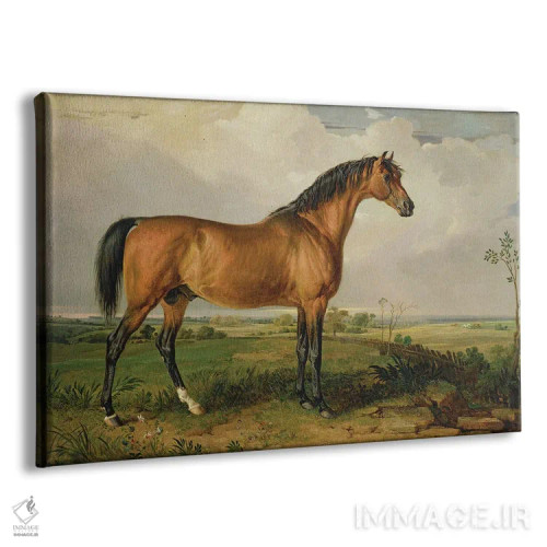 تابلو عقاب، اسب اصیل مشهور اثر جیمز وارد - نمای پرسپکتیو محصول