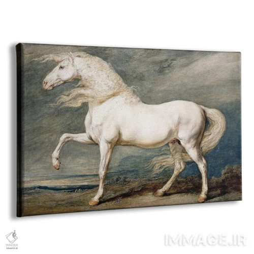 تابلو آدونیس، اسب محبوب شاه جورج سوم اثر جیمز وارد - نمای پرسپکتیو محصول