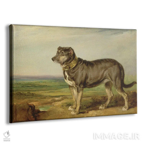 تابلو پرترهٔ "ویک"، سگ شکاری اسپانیایی، حدود ۱۸۱۸-۲۰ اثر جیمز وارد - نمای پرسپکتیو محصول