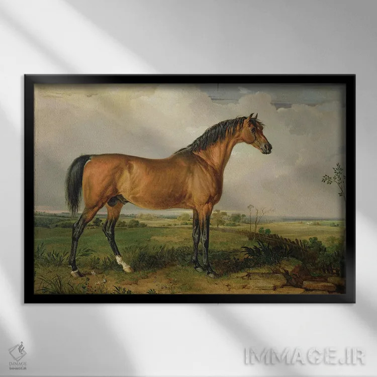 تابلو عقاب، اسب اصیل مشهور اثر جیمز وارد - نمای قابدار مشکی