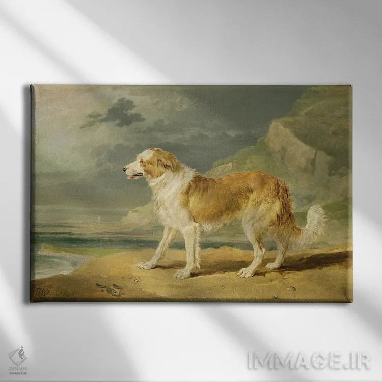 تابلو کولی موخشن، ۱۸۰۹ (نوعی سگ) اثر جیمز وارد - نمای روبهرو روی دیوار