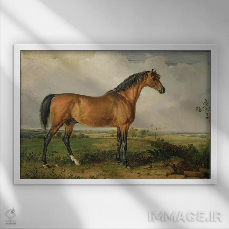 تابلو عقاب، اسب اصیل مشهور اثر جیمز وارد - نمای قابدار سفید