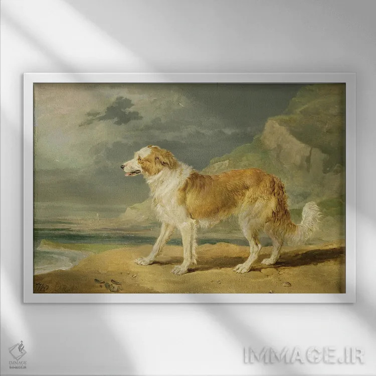 تابلو کولی موخشن، ۱۸۰۹ (نوعی سگ) اثر جیمز وارد - نمای قابدار سفید