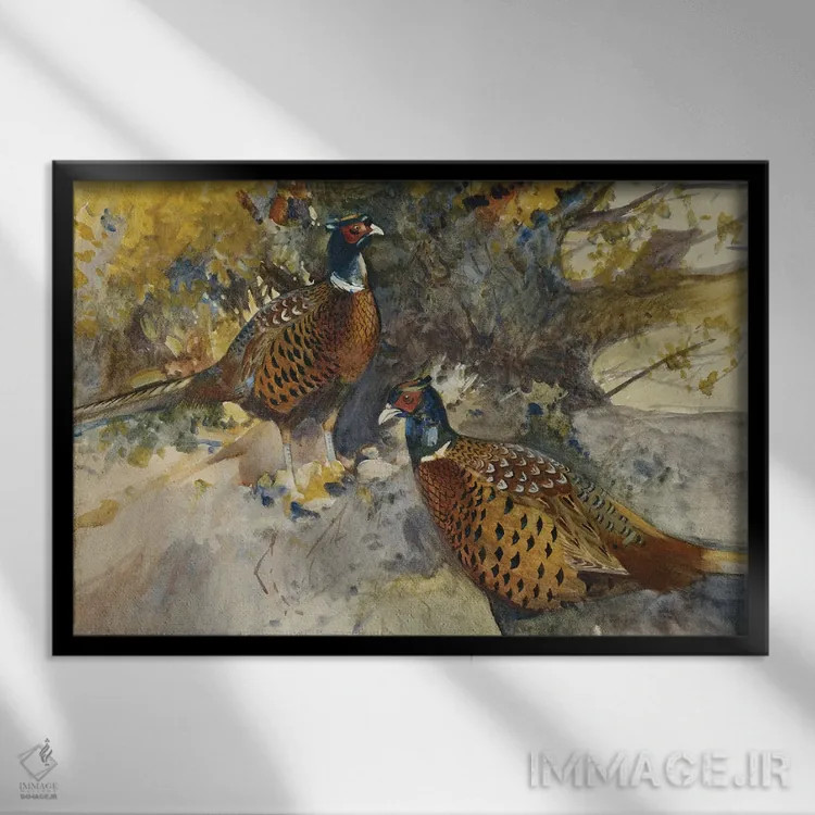 تابلو قرقاولهای نر زیر یک درخت راش اثر فرانک ساوتگیت - نمای قابدار مشکی