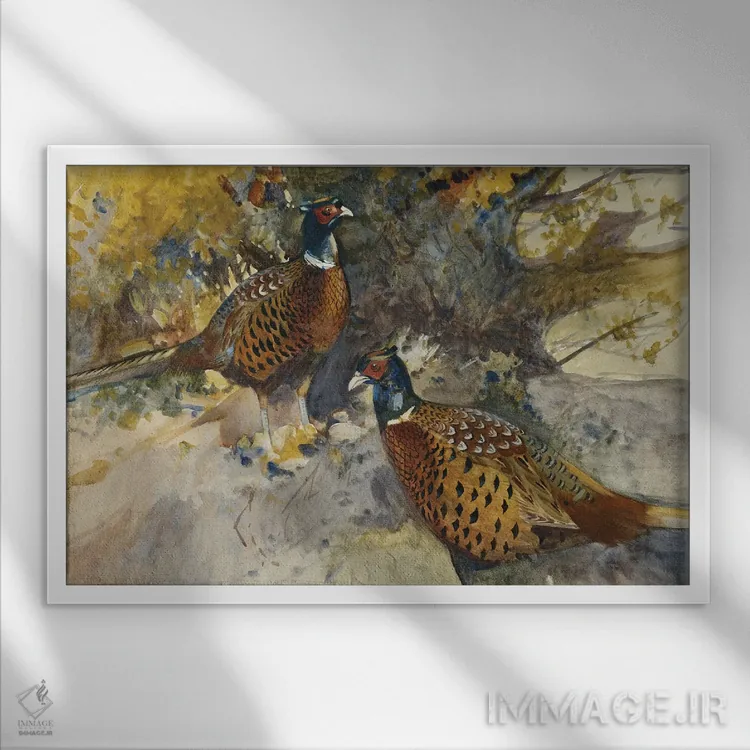 تابلو قرقاولهای نر زیر یک درخت راش اثر فرانک ساوتگیت - نمای قابدار سفید