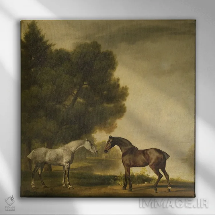 تابلو یک اسب خاکستری و یک اسب قهوهای در منظرهای طبیعی اثر جورج استابز (نقاش حیوانات انگلیسی) - نمای روبهرو روی دیوار